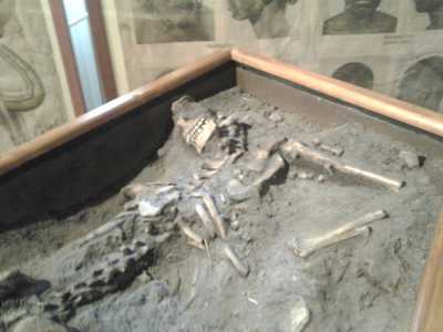 Museo del Dipartimento di Biologia: i resti di un ominide rinvenuto a Carbonara 